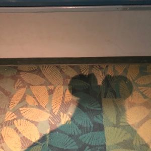 Meet your Posher, Wendy